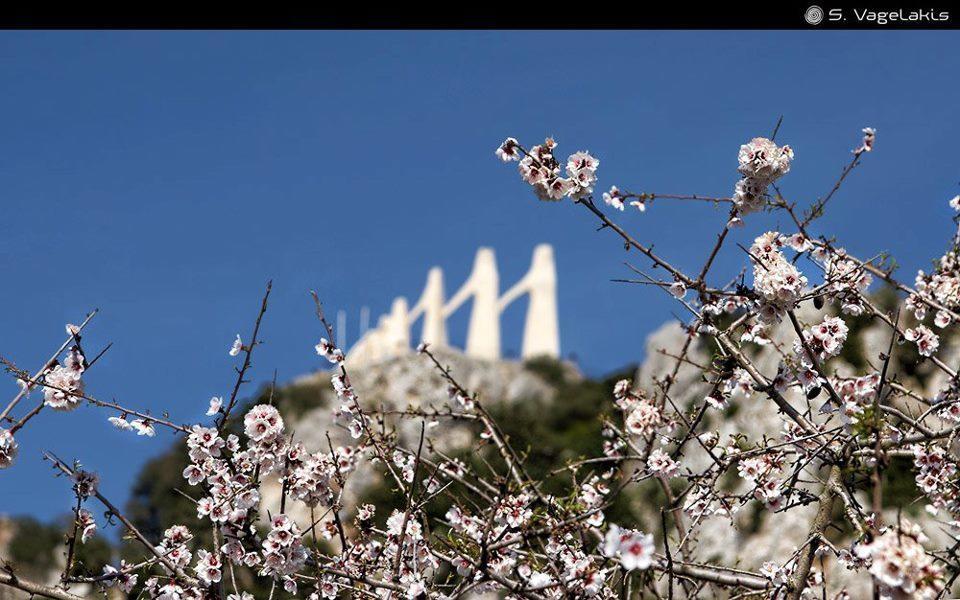 מיתיקאס Hotel Fotini מראה חיצוני תמונה
